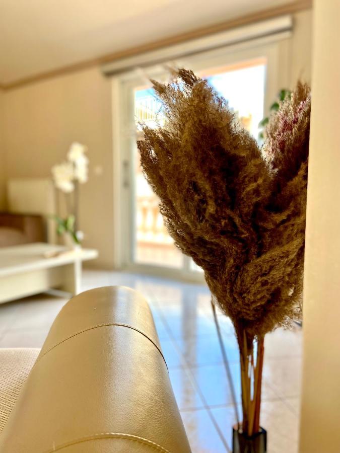 Valeria'S Apartment 阿尔戈斯托利翁 外观 照片